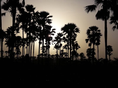 casamance 2019, t