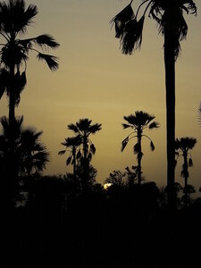 casamance 2019, w