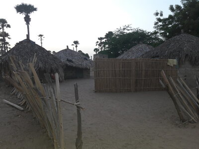 casamance 2019, x