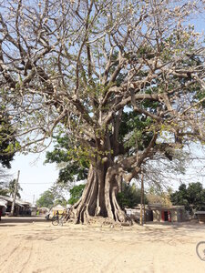 casamance 2019, 20190410_165053