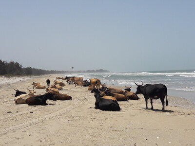 casamance 2019, 20190411_120154