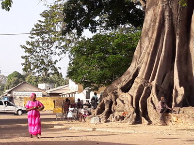 casamance 2019, 20190411_175538