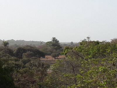casamance 2019, 20190412_090944