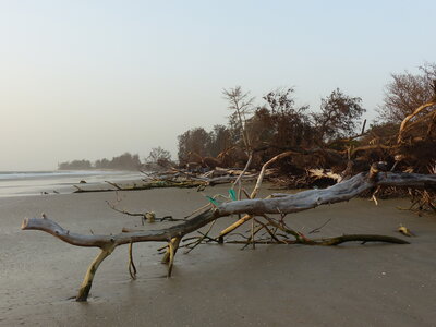 casamance 2019, P1510776