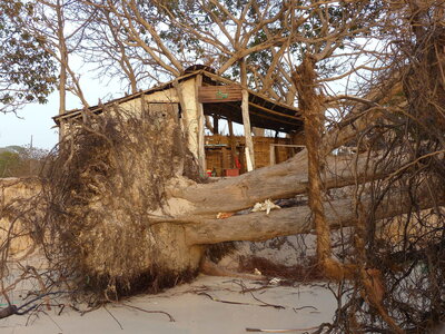 casamance 2019, P1510778
