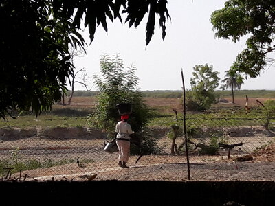 casamance 2019, 20190415_090955