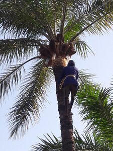 casamance 2019, 20190415_172515