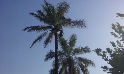 casamance 2019, 20190415_172554