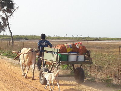 casamance 2019, 20190417_085018