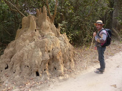 casamance 2019, P1510915