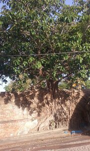 casamance 2019, 20190410_081721