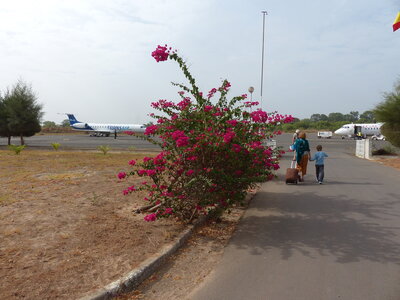 casamance 2019, P1520243