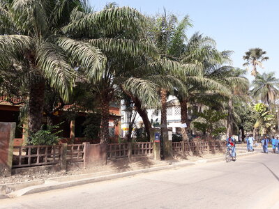 casamance 2019, 20190418_093157