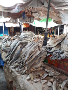 casamance 2019, 20190418_182530