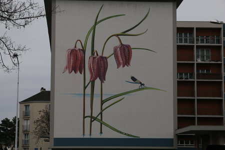 robin, sanitas  32 