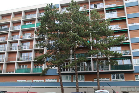 robin, sanitas  33 