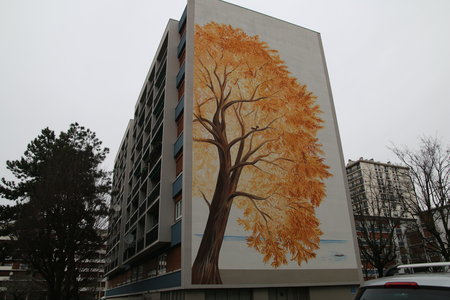 robin, sanitas  34 