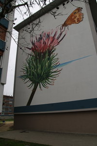 robin, sanitas  42 