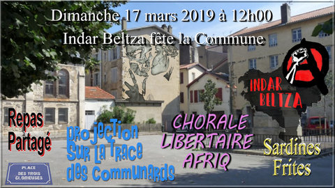 FOTOSINTEZVISUEL, VISUEL IB Commune 
