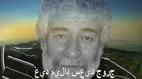 FOTOSINTEZVISUEL, VISUEL GEORGE