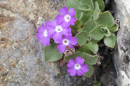 2019-06-04-09-autonomie-alpinisme-ecrins, escalade-montagne-ailefroide-alpes-aventure-2019-06-06-19