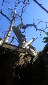 Maxi Verte 2019, P5310542