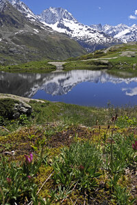 2019-06-10-15-tour-des-bans, escalade-chalet-gioberney-refuge-pigeonnier-lac-lauzon--alpes-aventure-2019-06-12-26