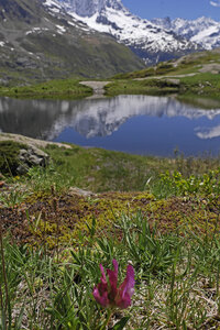 2019-06-10-15-tour-des-bans, escalade-chalet-gioberney-refuge-pigeonnier-lac-lauzon--alpes-aventure-2019-06-12-28