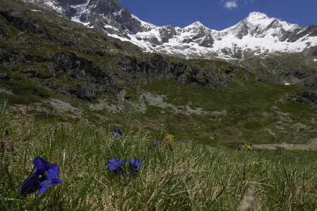 2019-06-10-15-tour-des-bans, escalade-chalet-gioberney-refuge-pigeonnier-lac-lauzon--alpes-aventure-2019-06-12-48