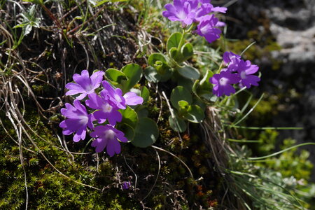 2019-06-10-15-tour-des-bans, escalade-chalet-gioberney-refuge-pigeonnier-lac-lauzon--alpes-aventure-2019-06-12-55