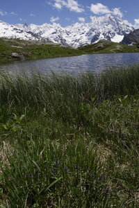 2019-06-10-15-tour-des-bans, escalade-chalet-gioberney-refuge-pigeonnier-lac-lauzon--alpes-aventure-2019-06-12-56