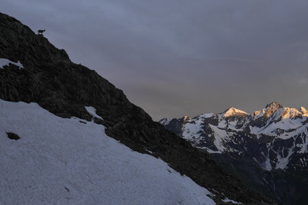 2019-06-10-15-tour-des-bans, les-rouies-alpinisme-valgaudemar-refuge-pigeonnier-alpes-aventure-2019-06-13-90