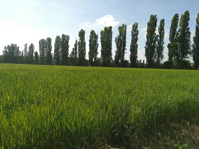 Le Marais de Chambly, IMG_20190531_175408