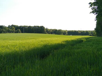 Le Marais de Chambly, IMG_20190531_175527