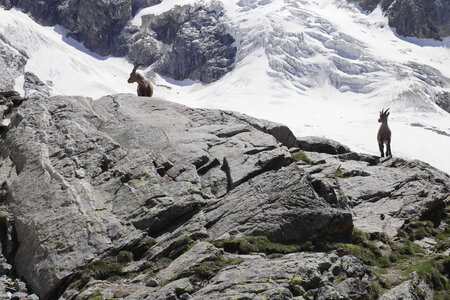 2019-06-24-30-mont-rose, ecole-de-glace-refuge-mezzalama-alpes-aventure-2019-06-26-10