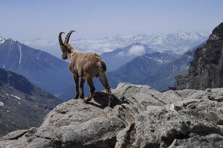 2019-06-24-30-mont-rose, ecole-de-glace-refuge-mezzalama-alpes-aventure-2019-06-26-16