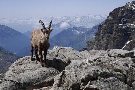 2019-06-24-30-mont-rose, ecole-de-glace-refuge-mezzalama-alpes-aventure-2019-06-26-18