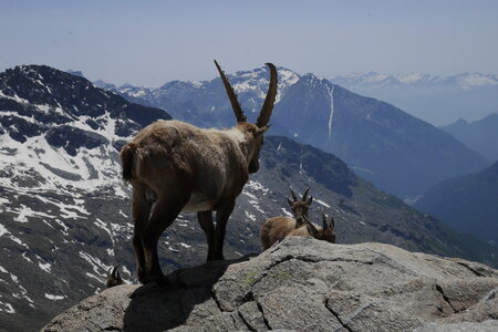 2019-06-24-30-mont-rose, ecole-de-glace-refuge-mezzalama-alpes-aventure-2019-06-26-21