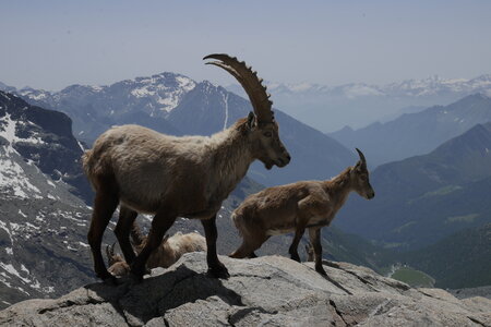 2019-06-24-30-mont-rose, ecole-de-glace-refuge-mezzalama-alpes-aventure-2019-06-26-22