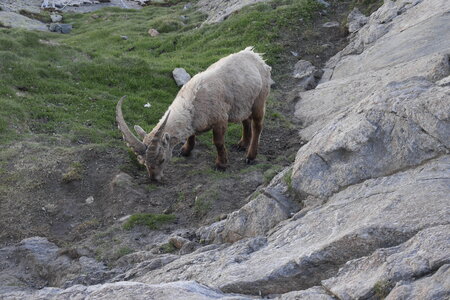 2019-06-24-30-mont-rose, ecole-de-glace-refuge-mezzalama-alpes-aventure-2019-06-26-38