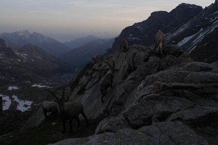2019-06-24-30-mont-rose, ecole-de-glace-refuge-mezzalama-alpes-aventure-2019-06-26-45