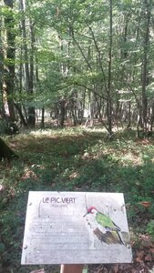 ASPET 2017, 20170814_171742