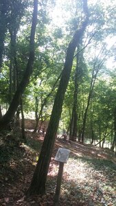 ASPET 2017, 20170814_172240
