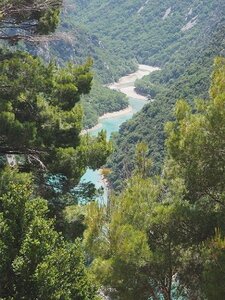 LAVANDES ET GORGES DU VERDON, 0124