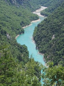 LAVANDES ET GORGES DU VERDON, 0125
