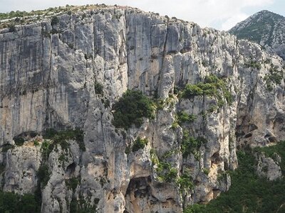 LAVANDES ET GORGES DU VERDON, 0130