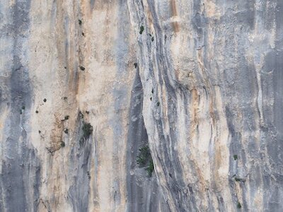 LAVANDES ET GORGES DU VERDON, 0133