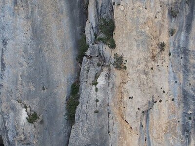 LAVANDES ET GORGES DU VERDON, 0135