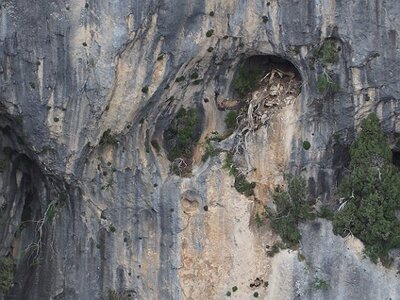 LAVANDES ET GORGES DU VERDON, 0136
