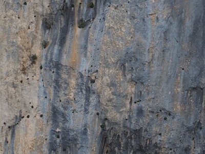 LAVANDES ET GORGES DU VERDON, 0140